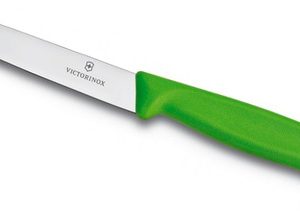 סכין לחיתוך ירקות חלקה 10 ס”מ VICTORINOX